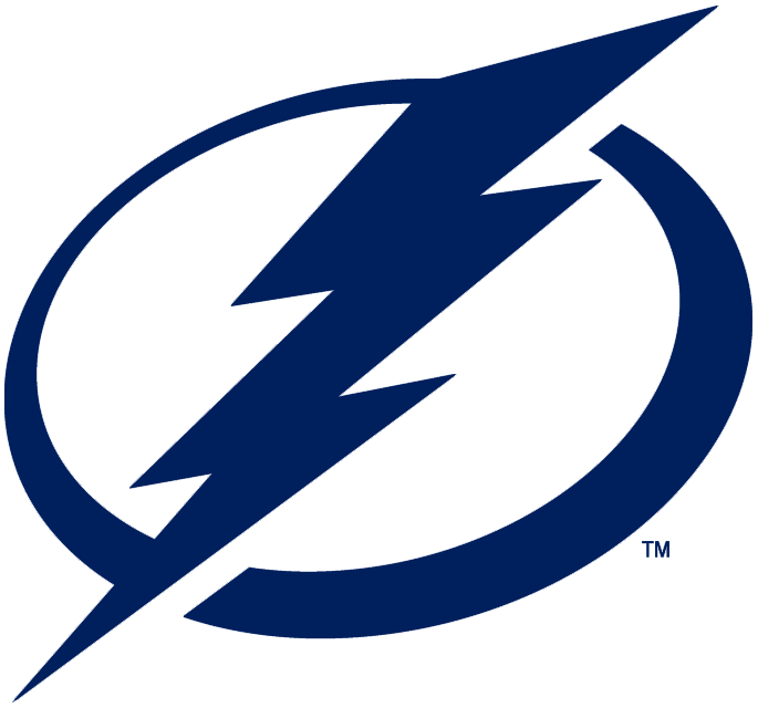 Tampa Bay Lightning 2011-Pres Primary Logo iron on transfers for fabric